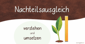 Nachteilsausgleich vs Lernielanpassung